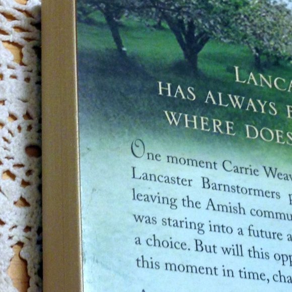 3 for $10 book sale!   Amish - The Choice, Amish Suzanne Woods Fisher! - Picture 5 of 7